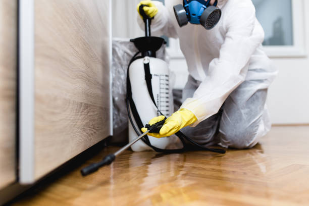 Best Wasp Removal Services  in Drum Point, MD