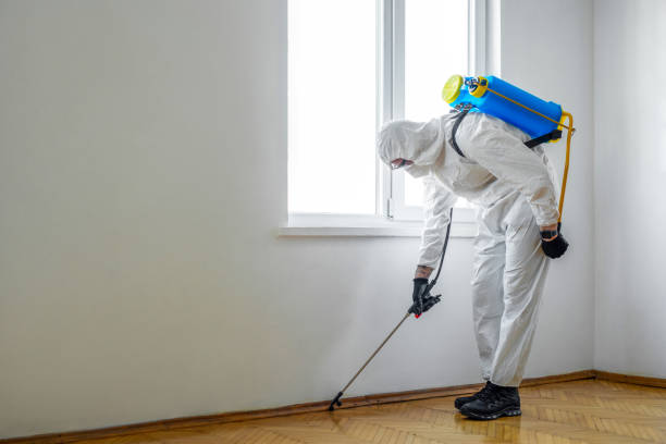 Best Mosquito Control Services  in Drum Point, MD