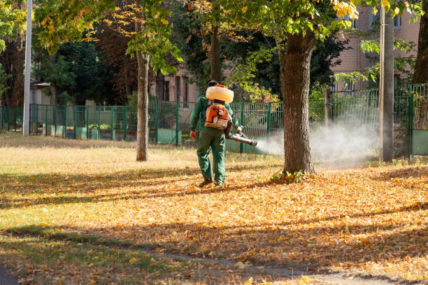 Best Best Pest Control Near Me  in Drum Point, MD