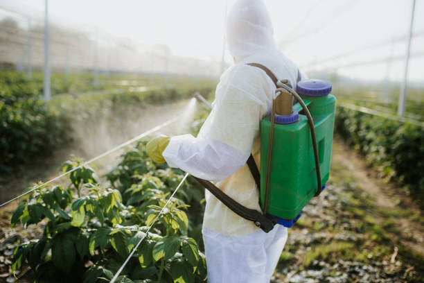 Best Flea Control Services  in Drum Point, MD